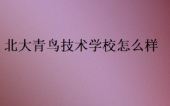 北大青鳥(niǎo)技術(shù)學(xué)校怎么樣?